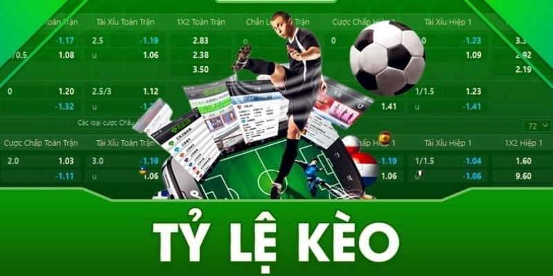 Cách tính và cách đọc hiểu thông tin chính xác là gì?